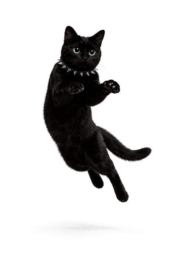 Nior mid-jump, airborne