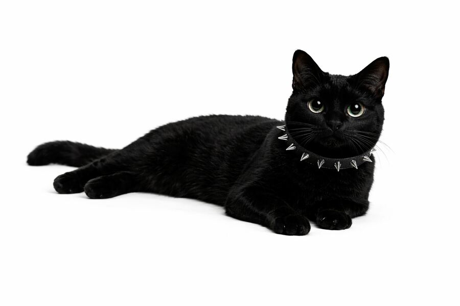 Loaf Mode Hoodie — lying pose
